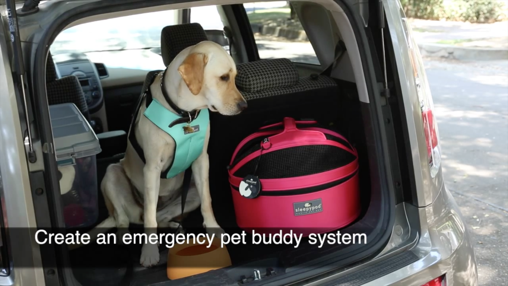 New Emergency Preparedness With Pets Video Provides Essential Readiness
